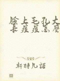脸上毛孔大容易长痘痘怎么办