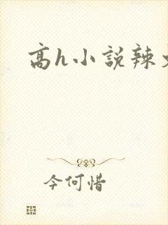 高h小说辣文