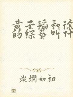 黄子韬和徐艺洋的综艺叫什么