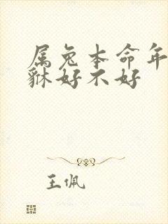 属兔本命年戴貔貅好不好