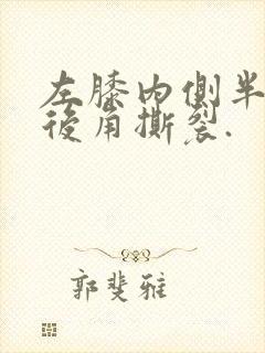 左膝内侧半月板后角撕裂.