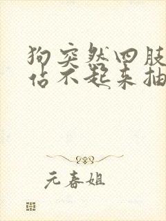 狗突然四肢无力站不起来抽搐怎么办