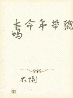 本命年带貔貅好吗