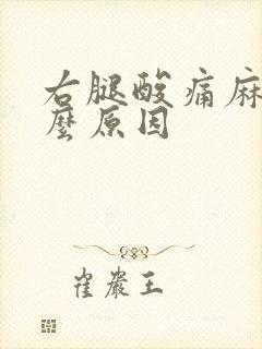 右腿酸痛麻是什么原因