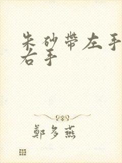 朱砂带左手还是右手封面