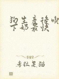 狗生产后吃什么下奶最快封面
