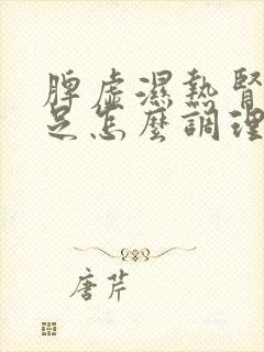 脾虚湿热肾气不足怎么调理