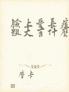 脸上爱长痘毛孔粗大有什么方法封面