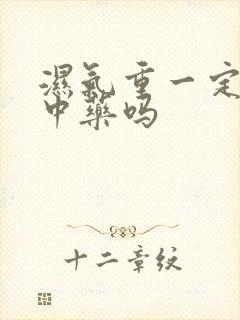 湿气重一定要吃中药吗