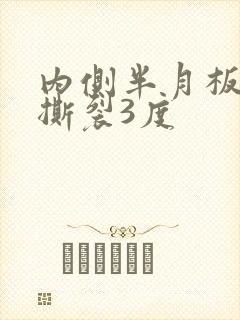 内侧半月板后角撕裂3度封面