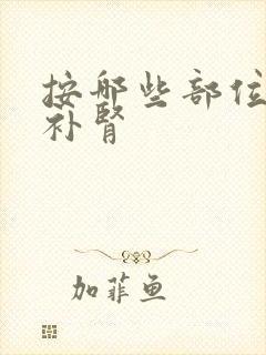 按哪些部位可以补肾