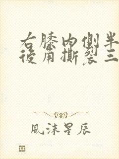 右膝内侧半月板后角撕裂三级封面