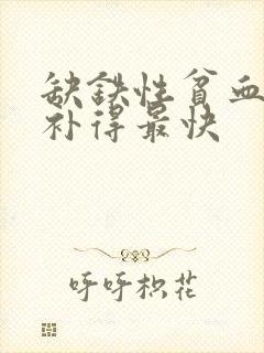 缺铁性贫血吃啥补得最快