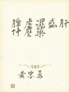 脾虚湿盛肝郁吃什么药封面