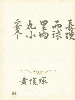 睾丸里面长了两个小肉球硬硬的
