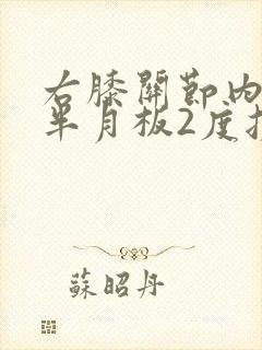 右膝关节内外侧半月板2度损伤怎么治疗
