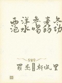 西洋参麦冬百合泡水喝的功效