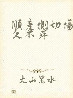 顺产侧切伤口多久不疼封面
