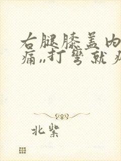 右腿膝盖内侧疼痛,,打弯就疼,为什么