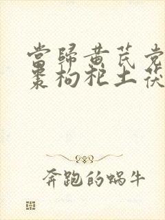 当归黄芪党参红枣枸杞土茯苓