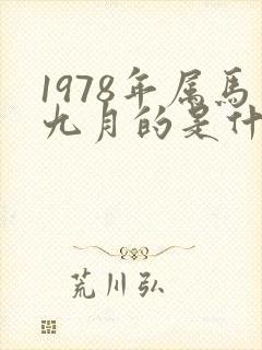 1978年属马九月的是什么命