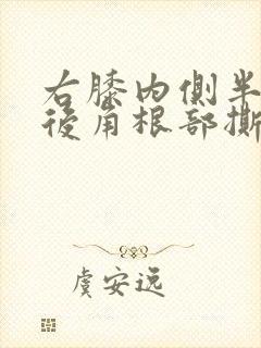 右膝内侧半月板后角根部撕裂