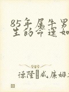85年属牛男一生的命运如何