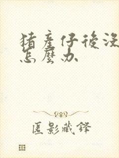 猪产仔后没有奶怎么办