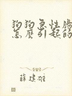 狗狗急性肠胃炎怎么引起的