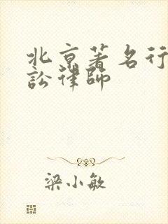 北京著名行政诉讼律师封面