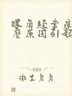 眼角经常痒是什么原因引起的
