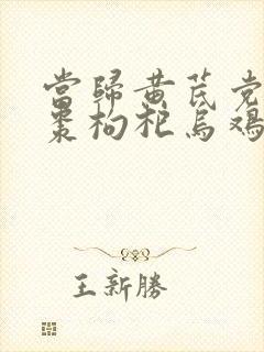 当归黄芪党参红枣枸杞乌鸡汤的功效