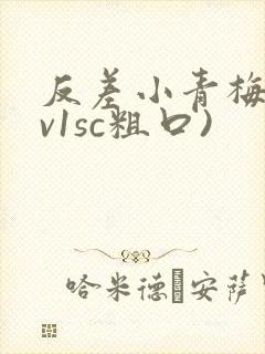 反差小青梅(1v1sc粗口)封面
