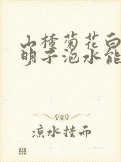 山楂菊花白芍决明子泡水能降血压吗