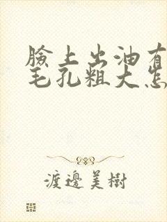 脸上出油有痘痘毛孔粗大怎么办封面
