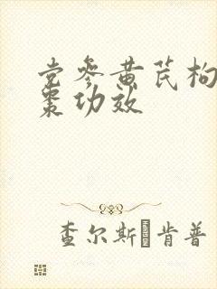 党参黄芪枸杞红枣功效