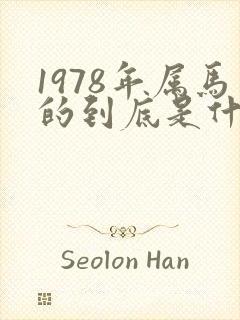 1978年属马的到底是什么命