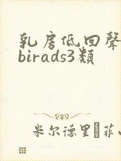 乳房低回声结节birads3类
