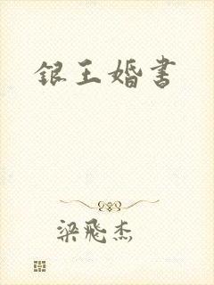 银王婚书封面