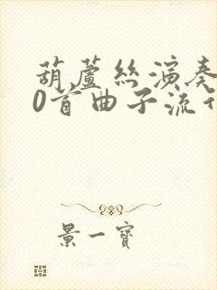 葫芦丝演奏100首曲子流行