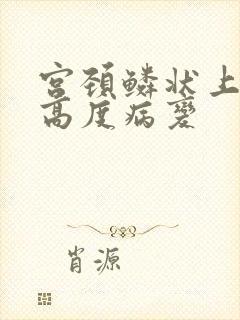 宫颈鳞状上表皮高度病变