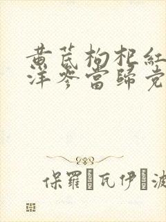 黄芪枸杞红枣西洋参当归党参泡水喝的功效封面