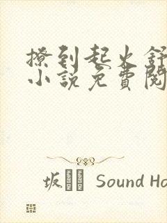 撩到起火舒漾的小说免费阅读全文