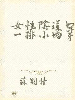 女性阴道口长了一排小肉芽封面