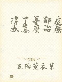 得了忧郁症怎么办怎么治疗封面