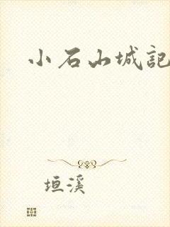 小石山城记封面