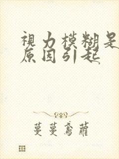 视力模糊是什么原因引起