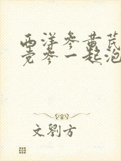 西洋参黄芪麦冬党参一起泡水功效