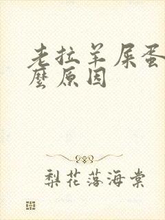老拉羊屎蛋是什么原因