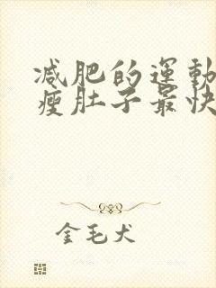 减肥的运动方法瘦肚子最快封面